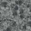 Wassertransferdruck WTD Starterset klein Totenköpfe Skulls silber Film Folie WTP 4m