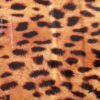 Wassertransferdruck WTD Starterset klein Leopard Tier Film Folie CD-87