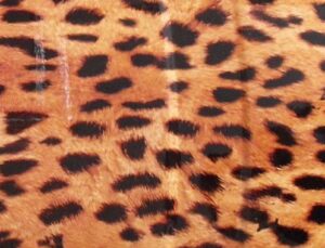 Wassertransferdruck WTD Starterset klein Leopard Tier Film Folie CD-87