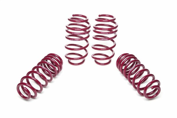 Vogtland Tieferlegungsfedern für Seat Leon 1M 1.4 1.6 1.8 09.99- Seat Toledo 1M