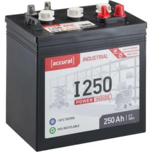 Accurat Industrial I250 6V 250Ah Versorgungsbatterie